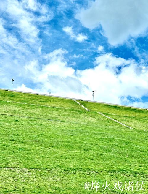 青青草原aⅴ青青草原
